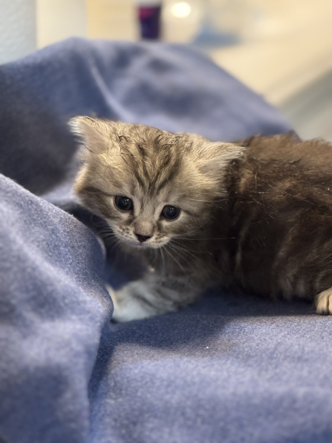Another photo of Leo